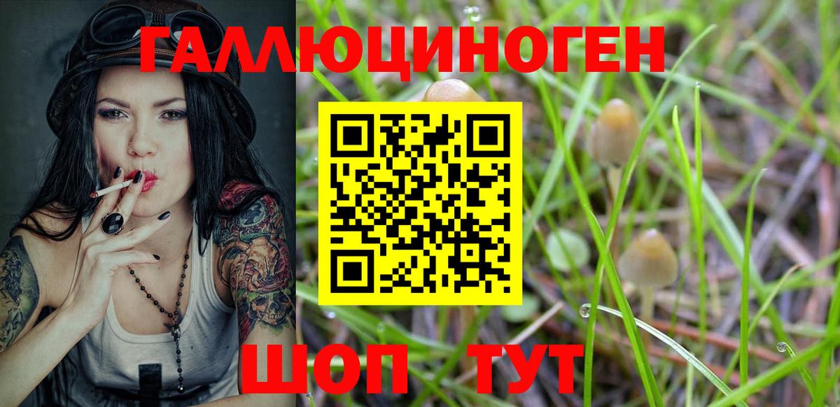 Самара  Псилоцибиновые грибы мицелий  Вход с VPN 
